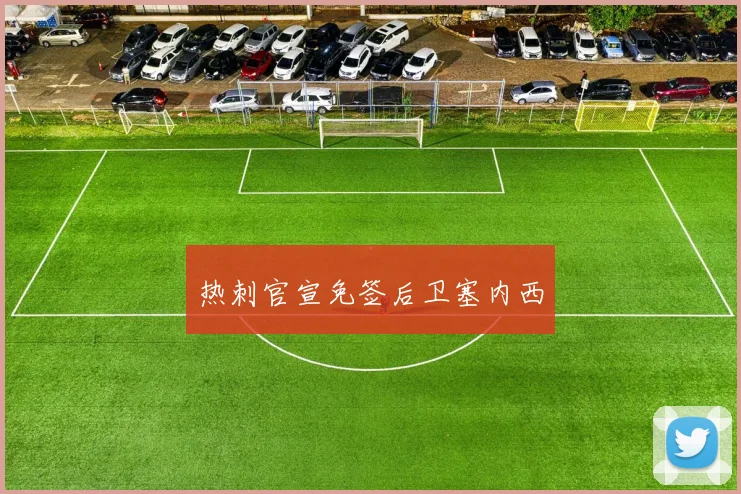 热刺官宣免签后卫塞内西